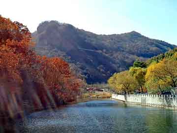 新澳天天开奖资料大全旅游团，幸福来敲门小说